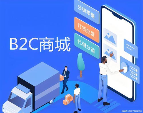 b2c商城开发